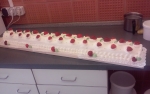 Erdbeer- Bisquitrolle 1m