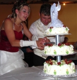 Hochzeitstorte, die Rosen auf der Torte sind passend zum Kleid abgestimmt